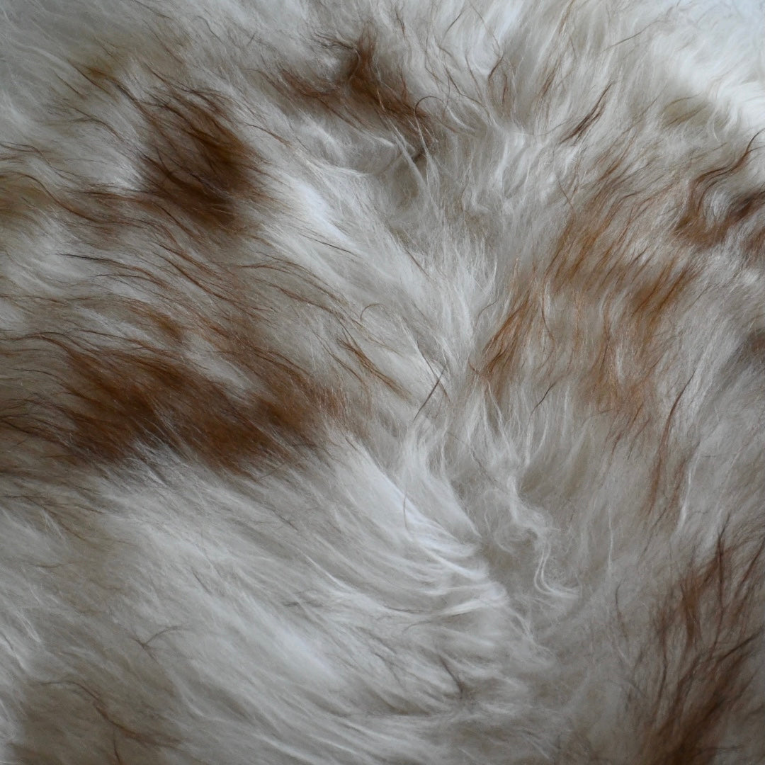 Icelandic Sheepskin - Mouflon Brown - Straight