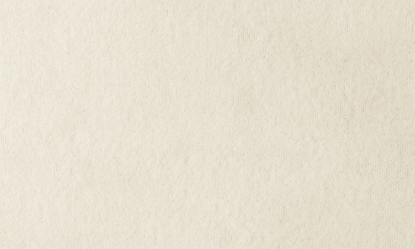 Solid - White - Rug