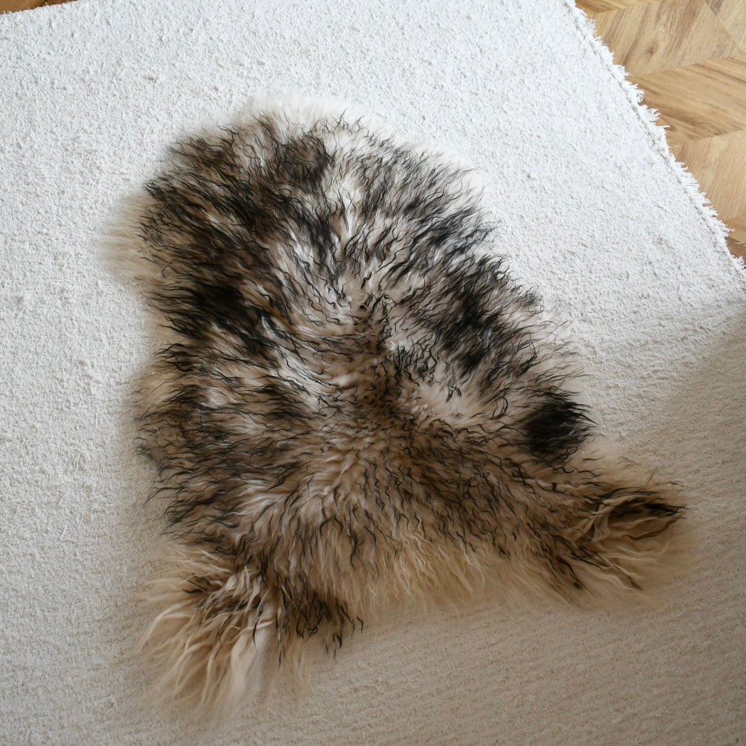 Icelandic Sheepskin - Mouflon Black - Curly - 1