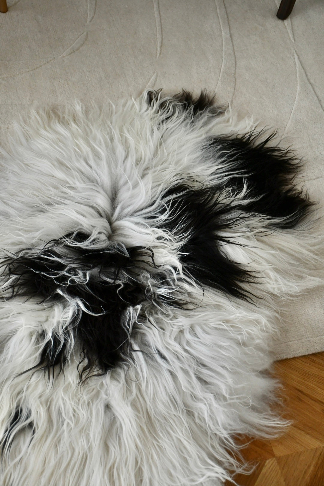 Icelandic Sheepskin - Black & White - Straight - 1