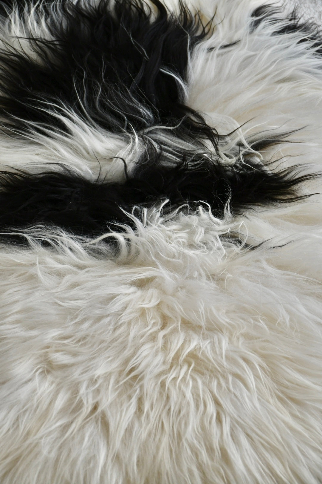 Icelandic Sheepskin - Black & White - Straight - 2