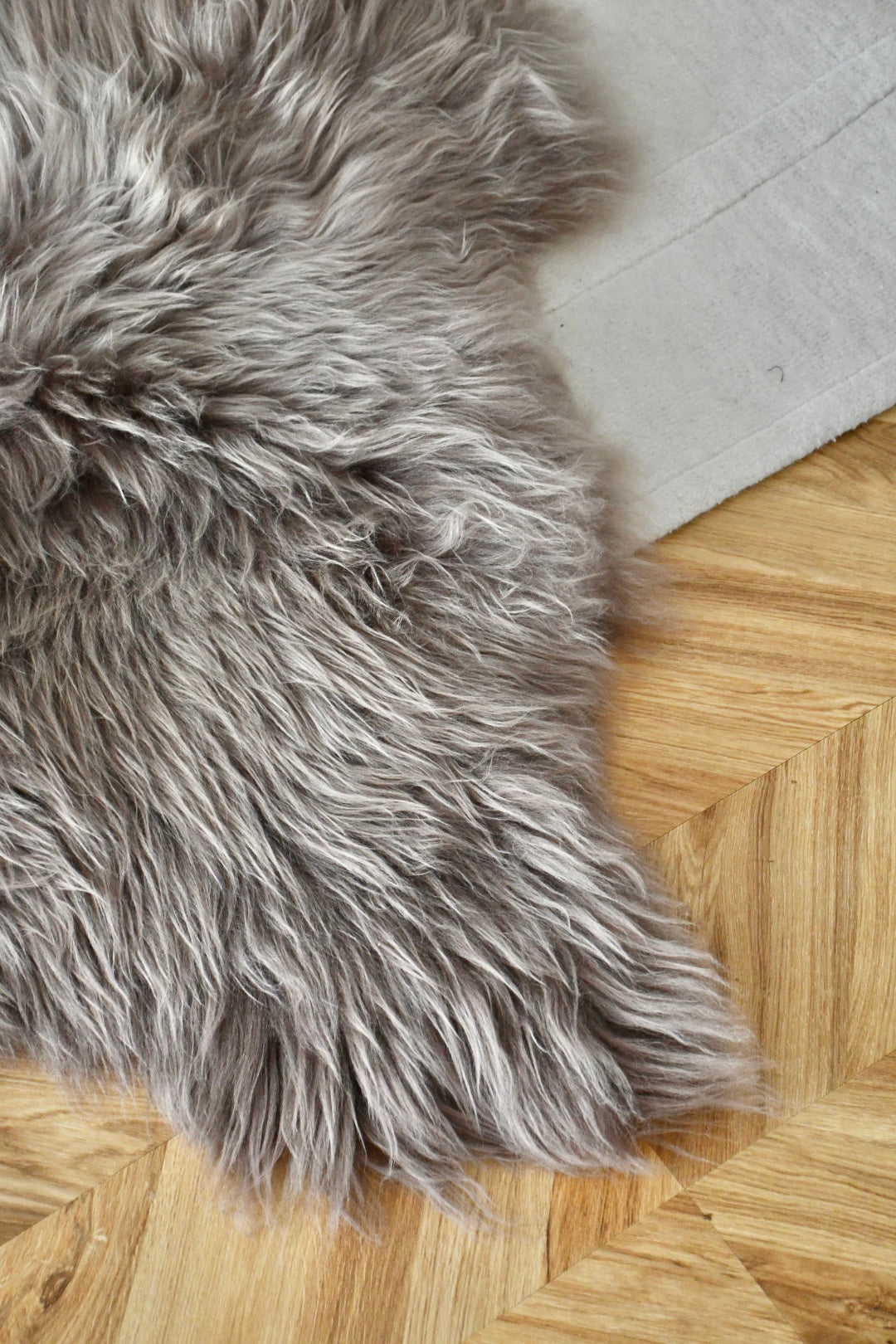Icelandic Sheepskin - Taupe - Straight - 2