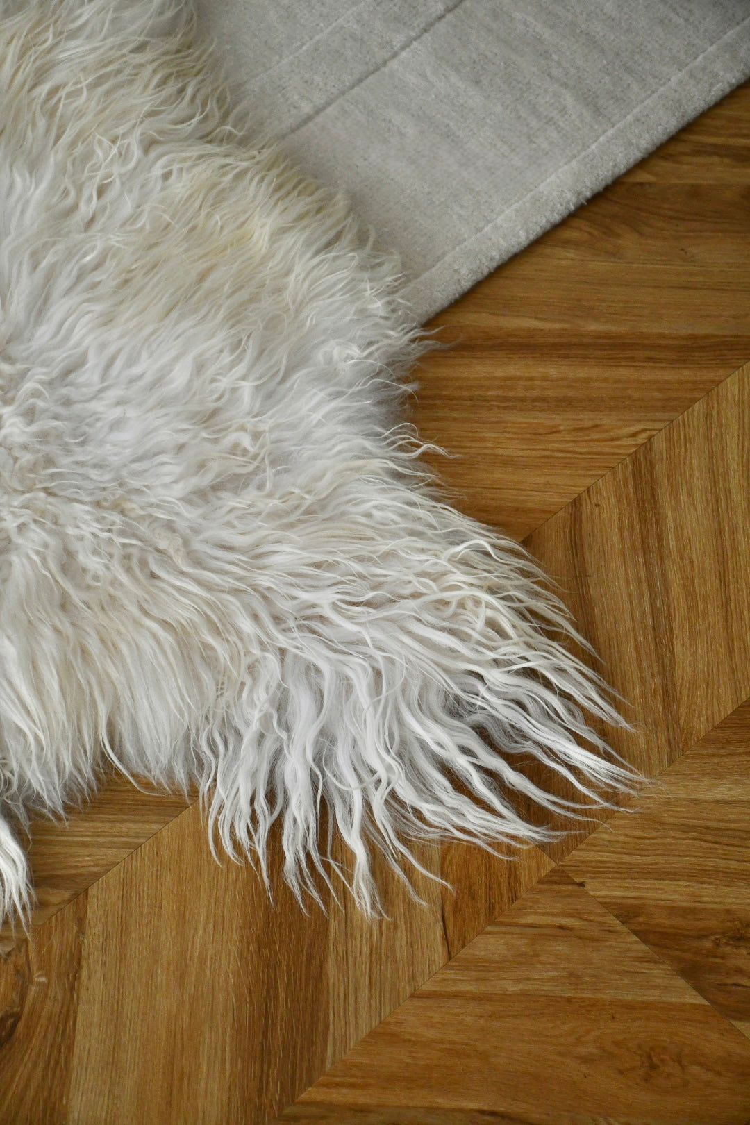 Icelandic Sheepskin - White - Curly - 1