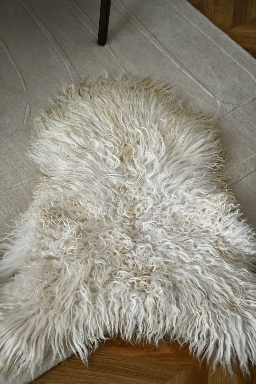 Icelandic Sheepskin - White - Curly - 2