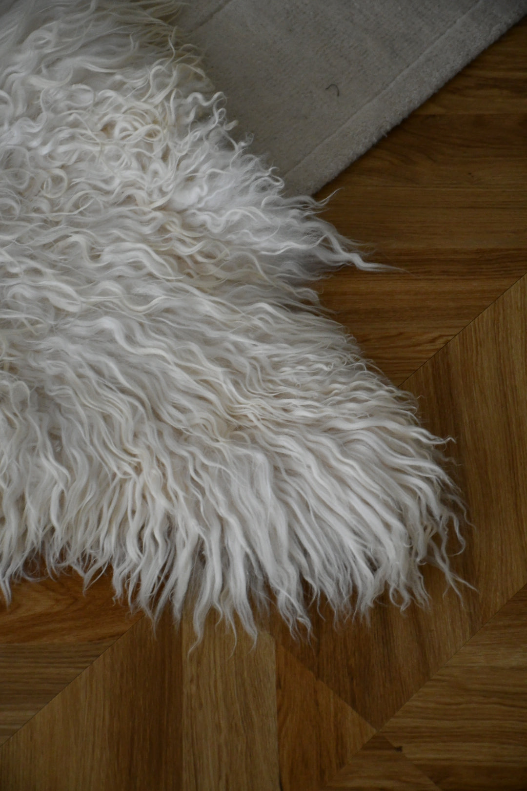 Icelandic Sheepskin - White - Curly - 2
