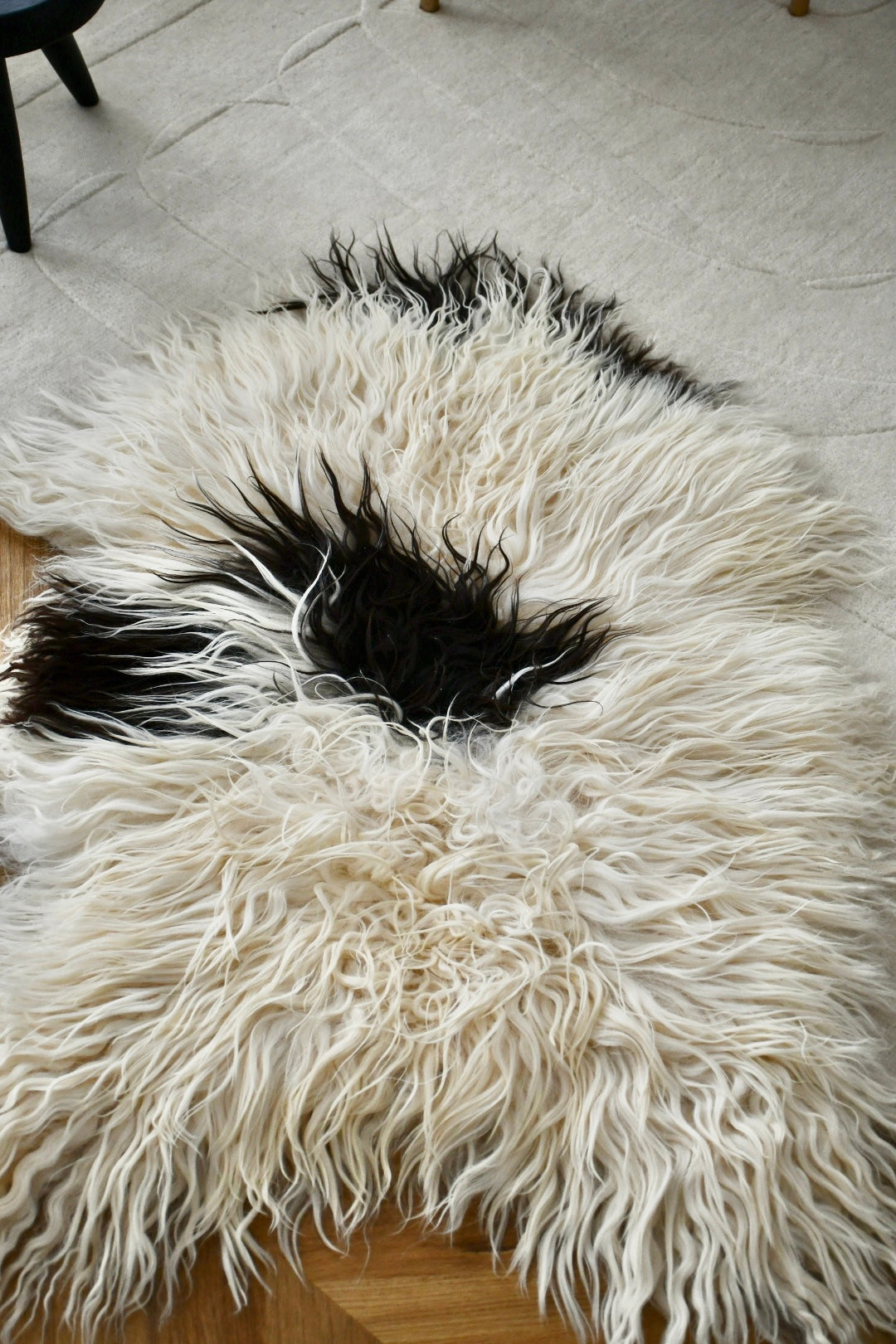 Icelandic Sheepskin - Black & White - Curly - 1