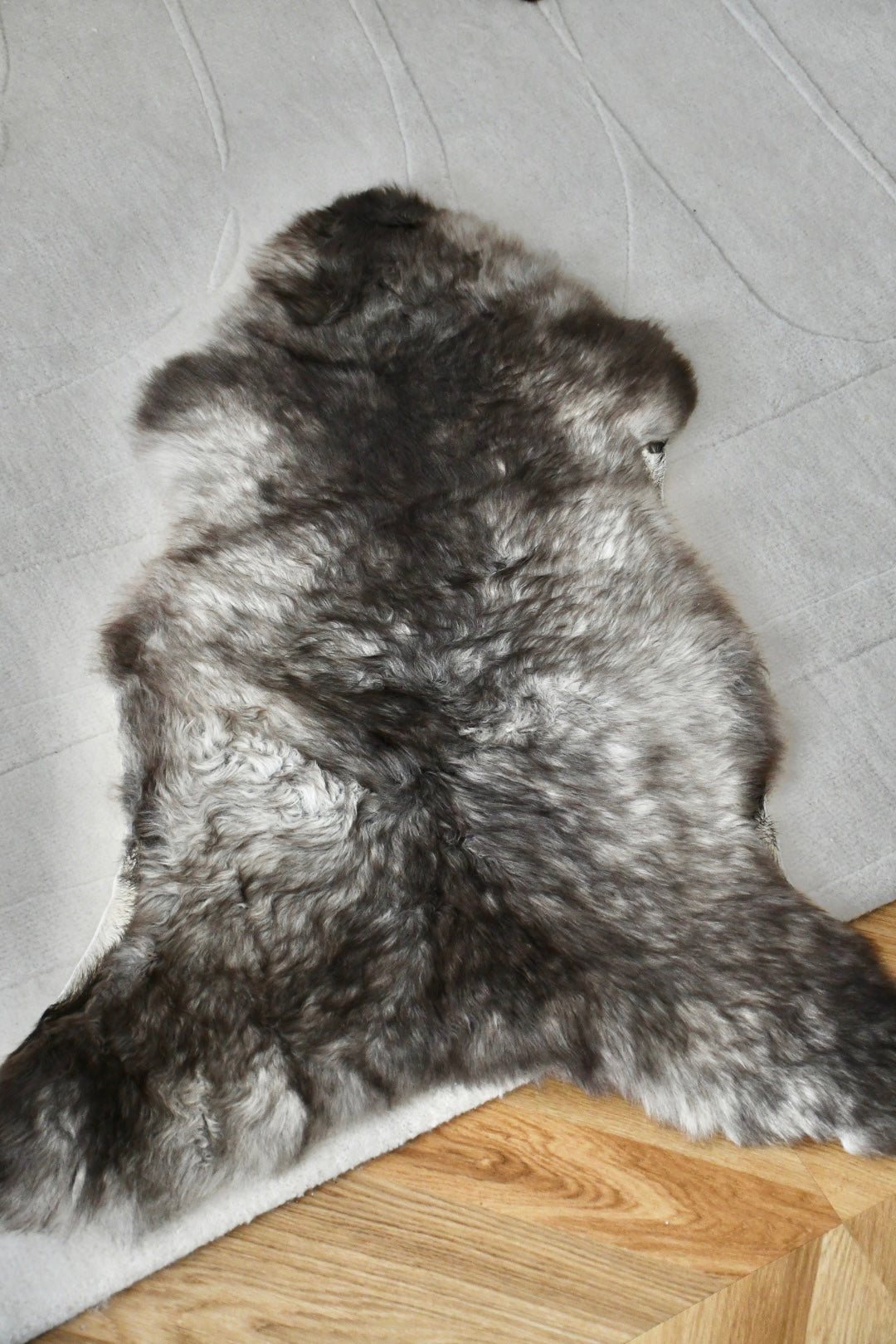 Baby Sheepskin - Mix - 1
