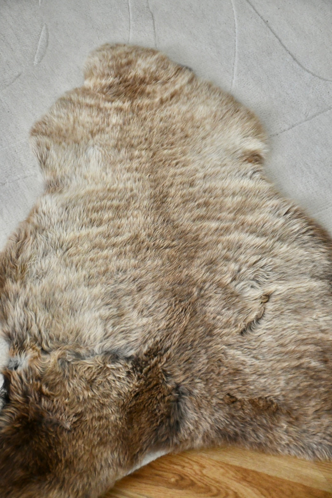 Baby Sheepskin - Mix - 2