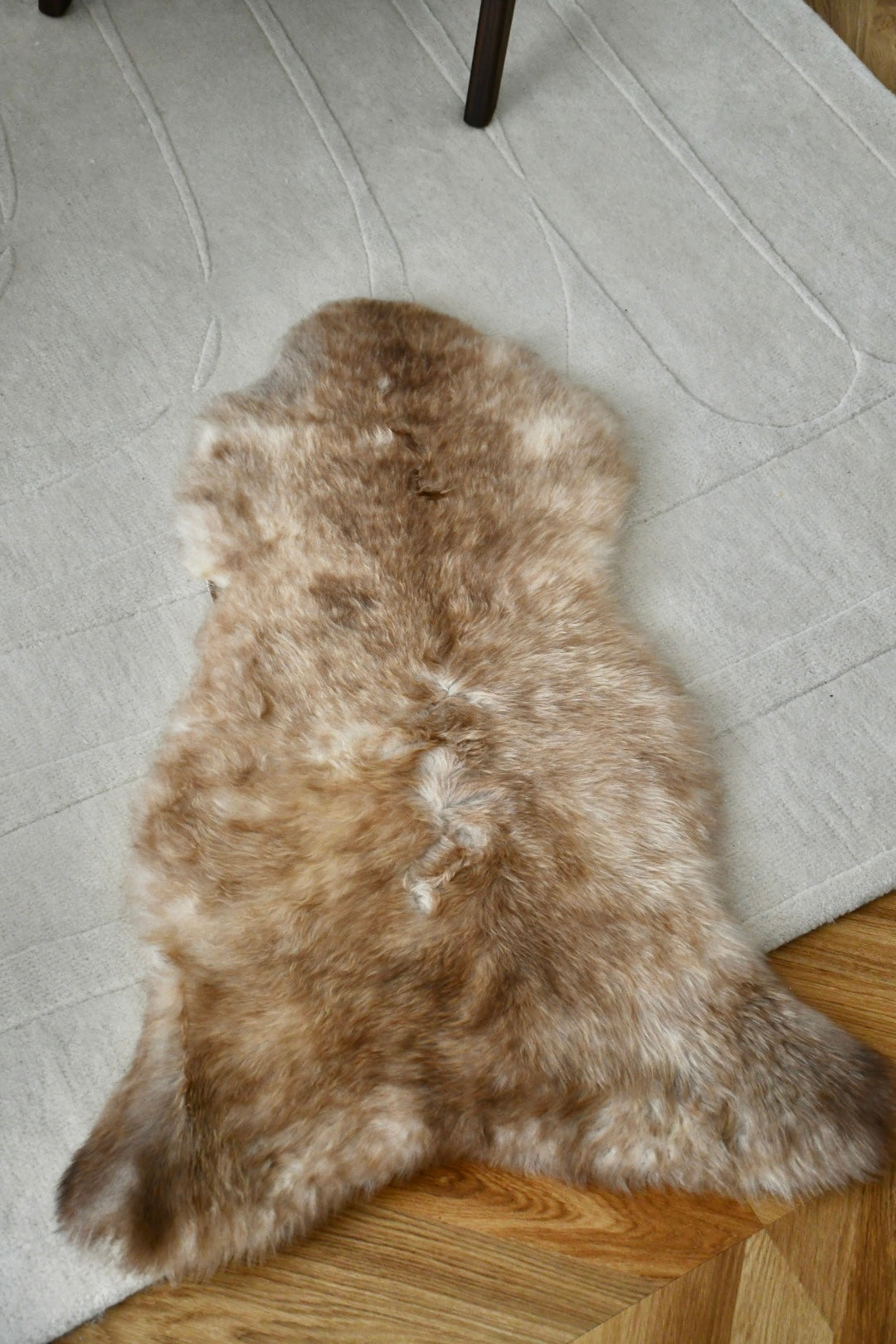 Baby Sheepskin - Mix - 3