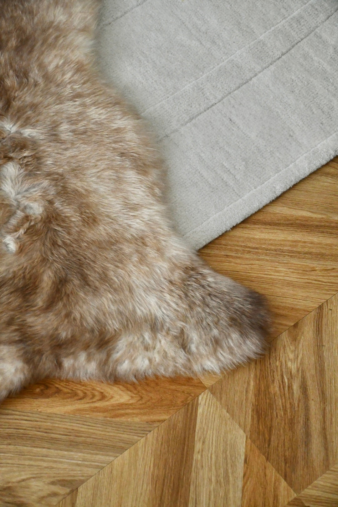 Baby Sheepskin - Mix - 3