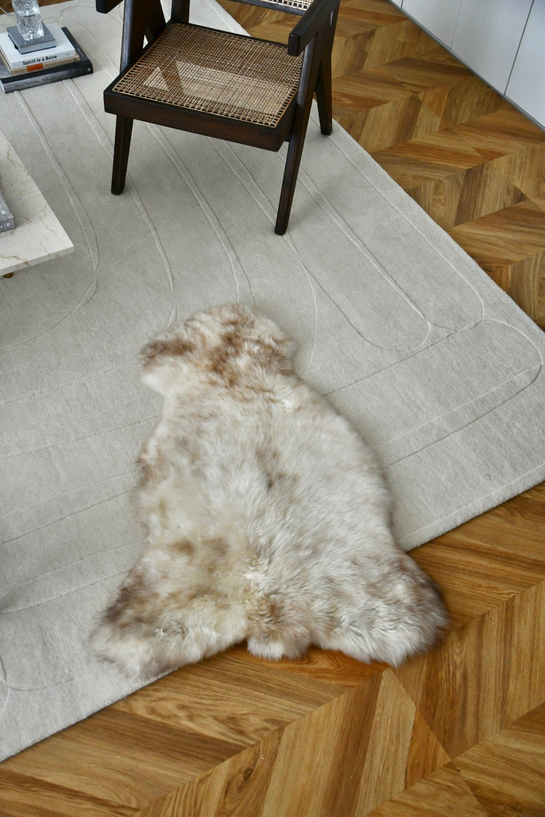 Baby Sheepskin - Mix - 4