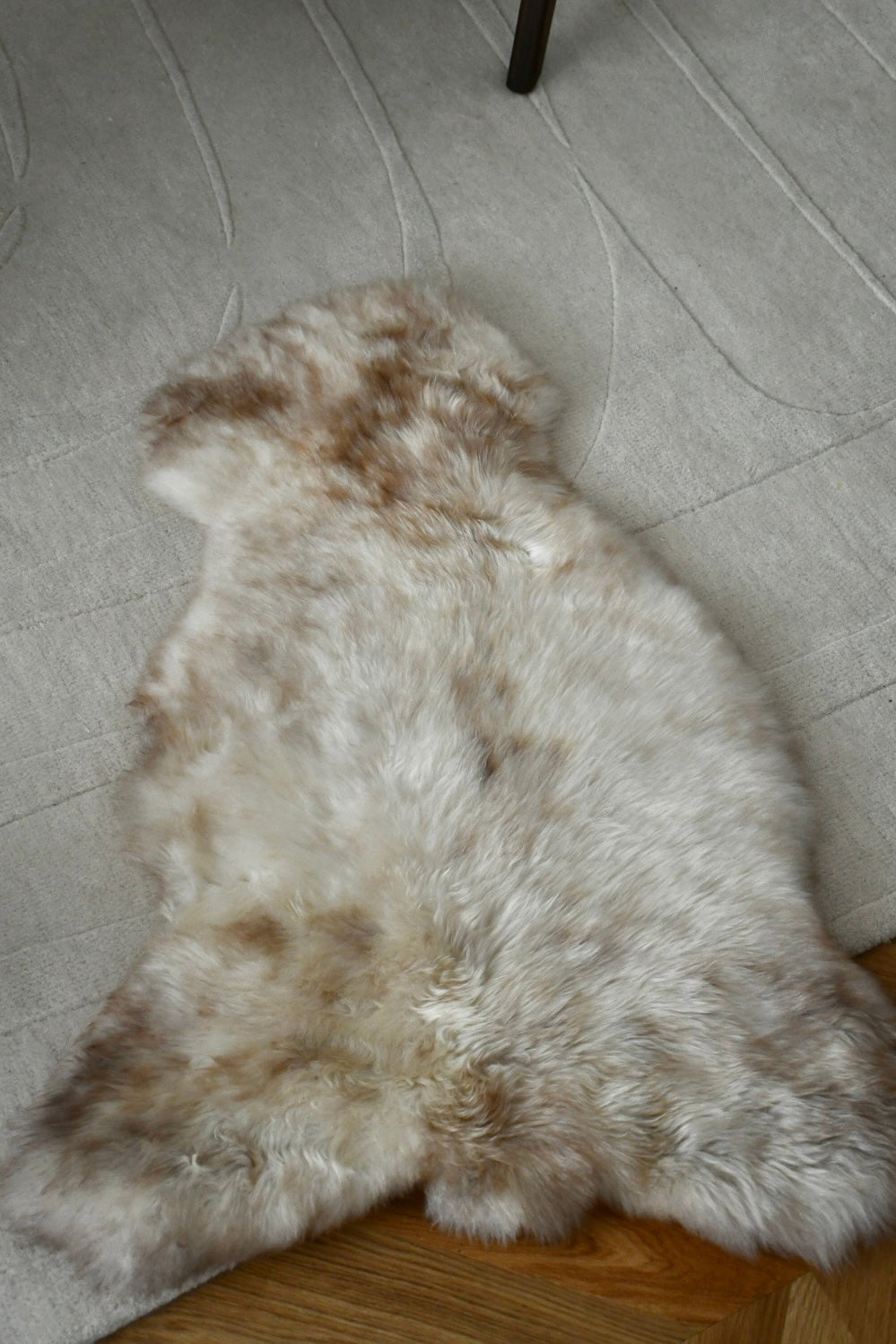 Baby Sheepskin - Mix - 4
