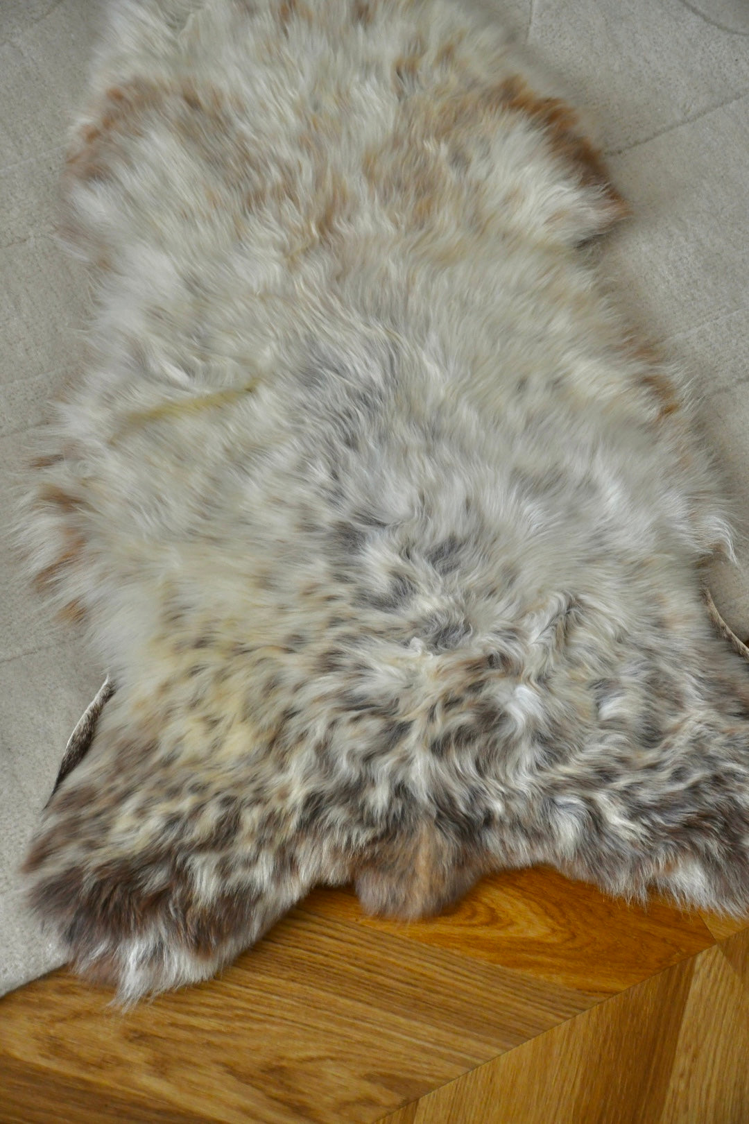 Baby Sheepskin - Mix - 5
