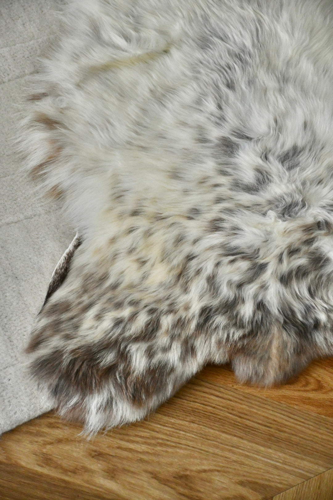 Baby Sheepskin - Mix - 5