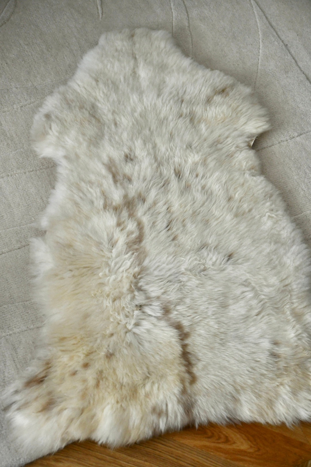 Baby Sheepskin - Mix - 6