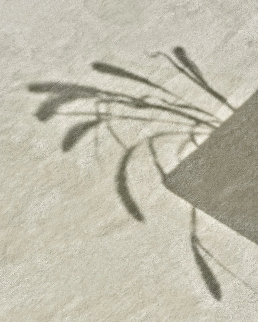 Solid - White - Rug