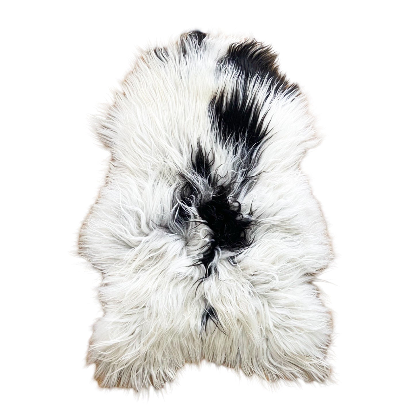 Icelandic Sheepskin - Black & White - Straight - 1