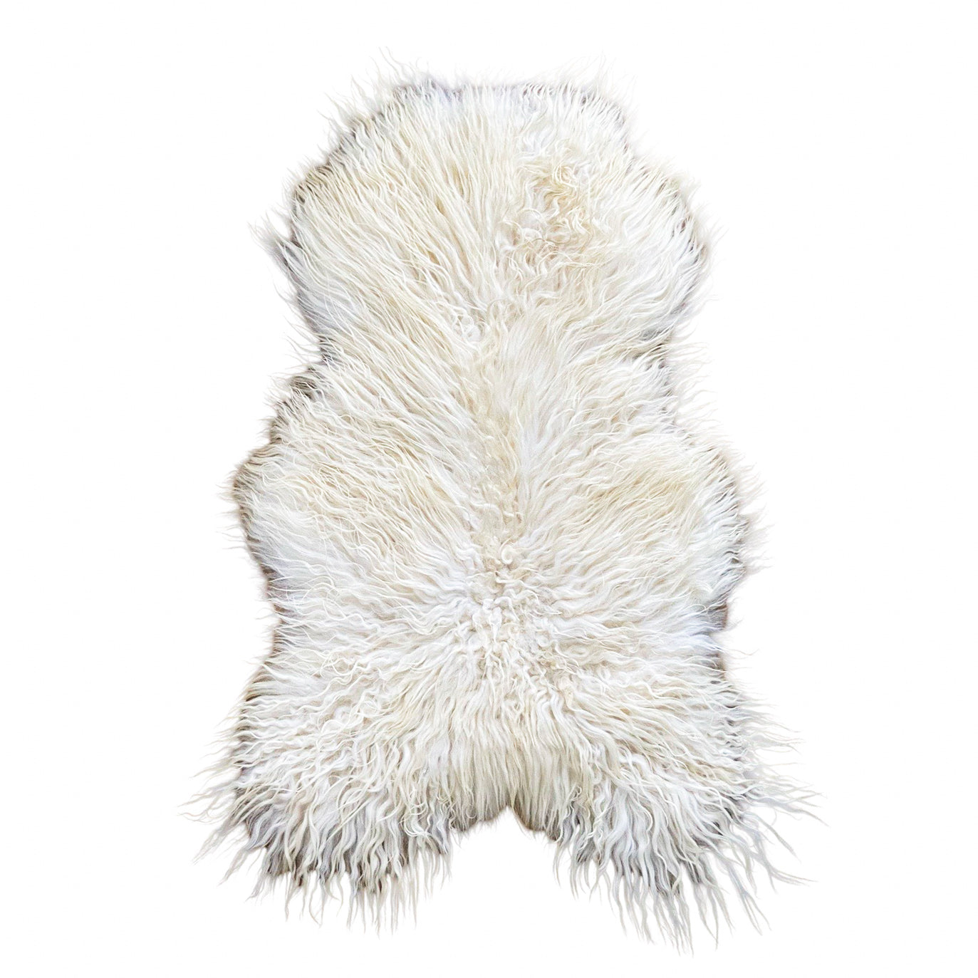 Icelandic Sheepskin - White - Curly - 1
