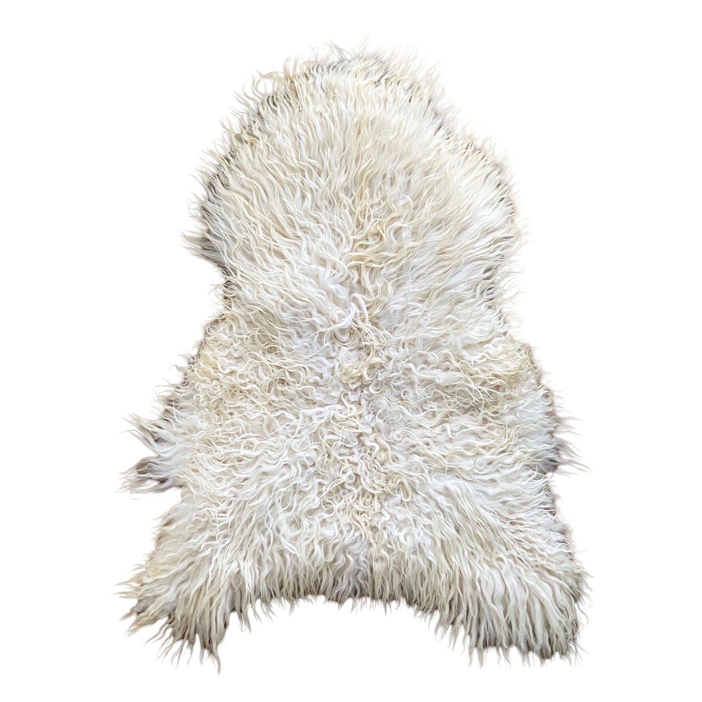 Icelandic Sheepskin - White - Curly - 2