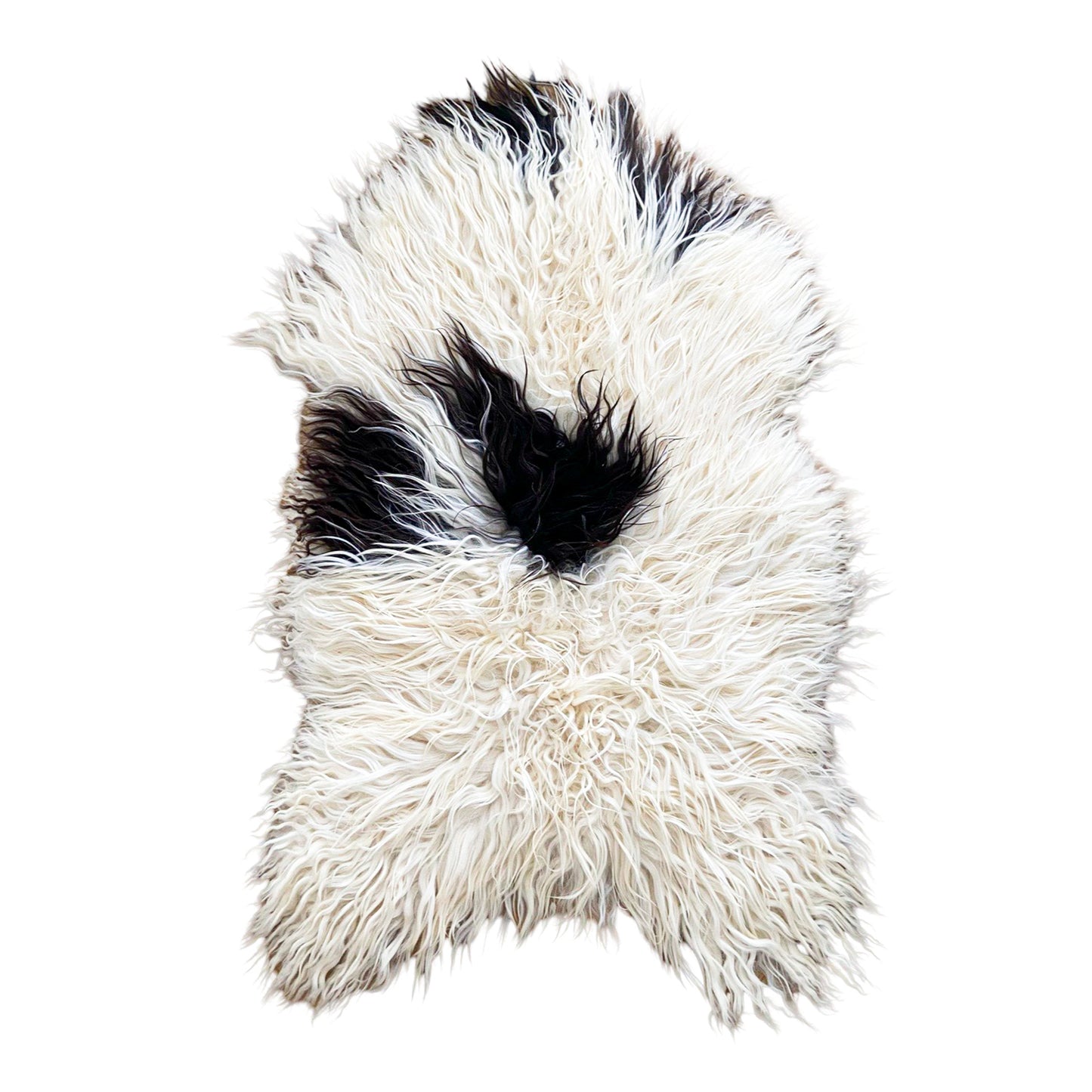 Icelandic Sheepskin - Black & White - Curly - 1