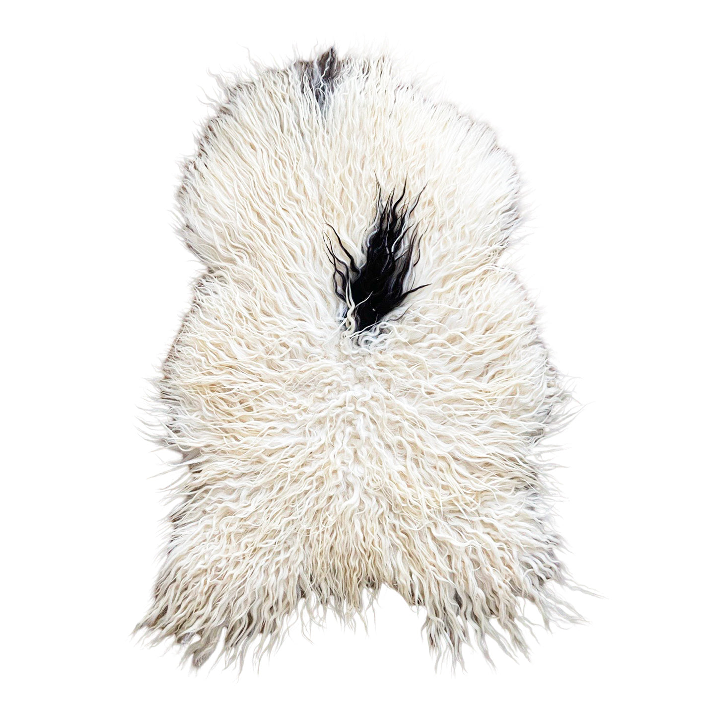 Icelandic Sheepskin - Black & White - Curly - 2