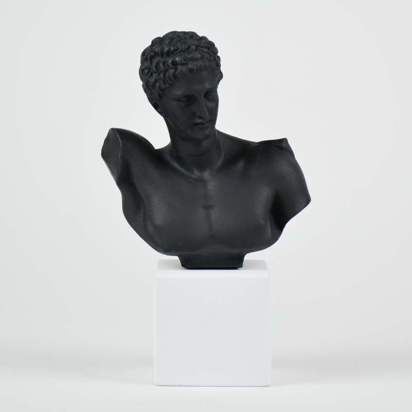 Hermes 1