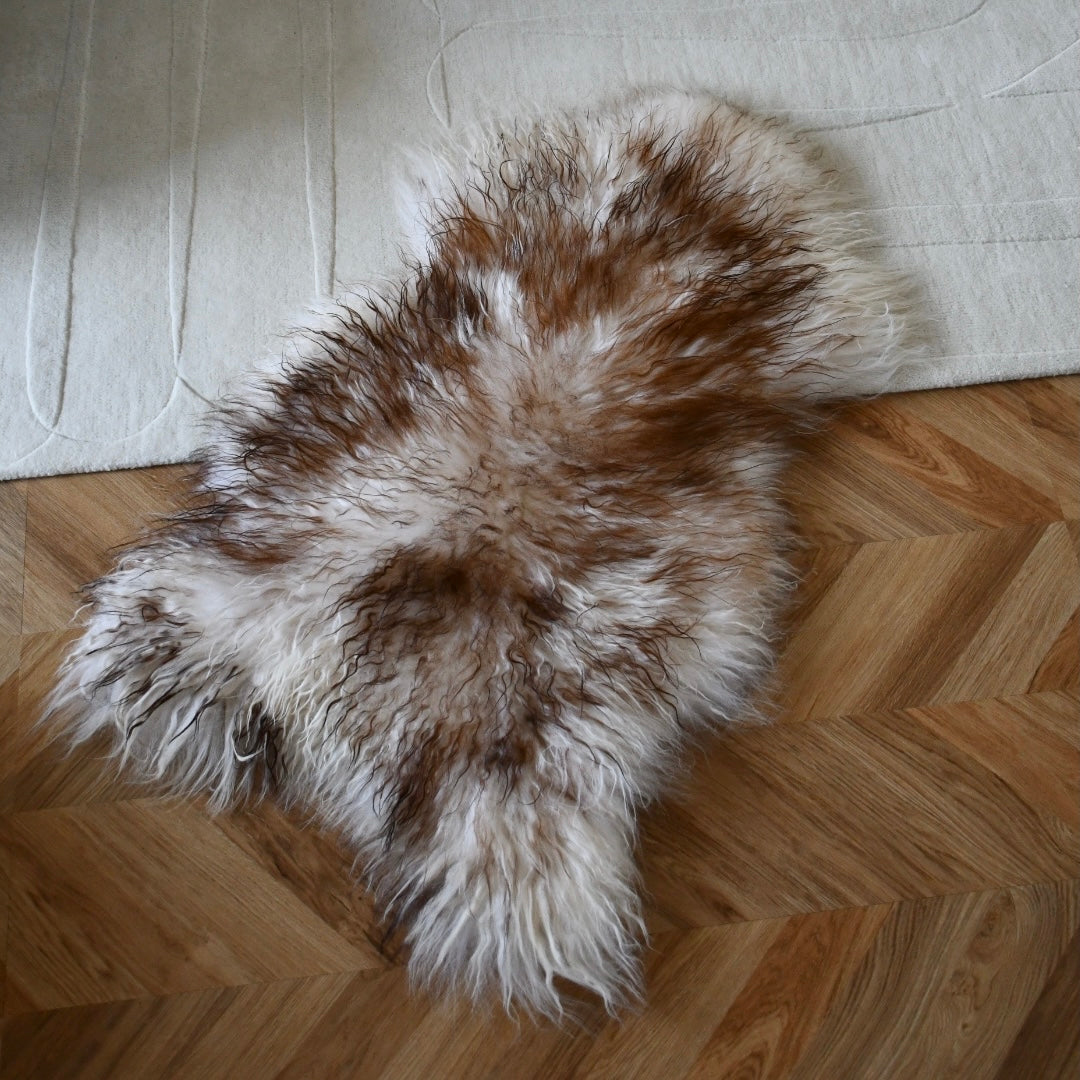 Icelandic Sheepskin - Mouflon Brown - Curly - 2
