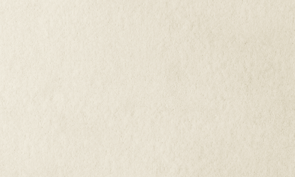 Solid - White - Rug