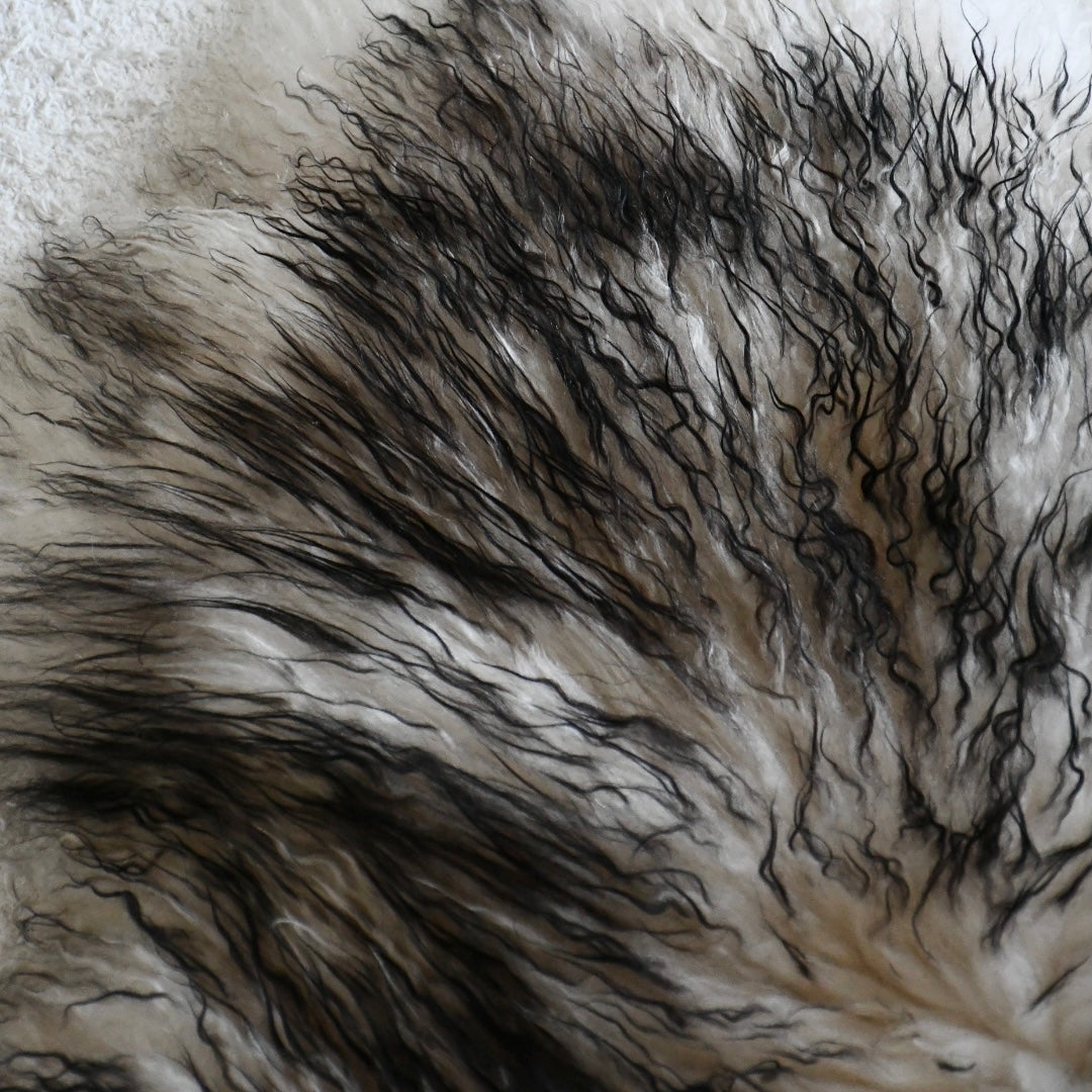 Icelandic Sheepskin - Mouflon Black - Curly - 2