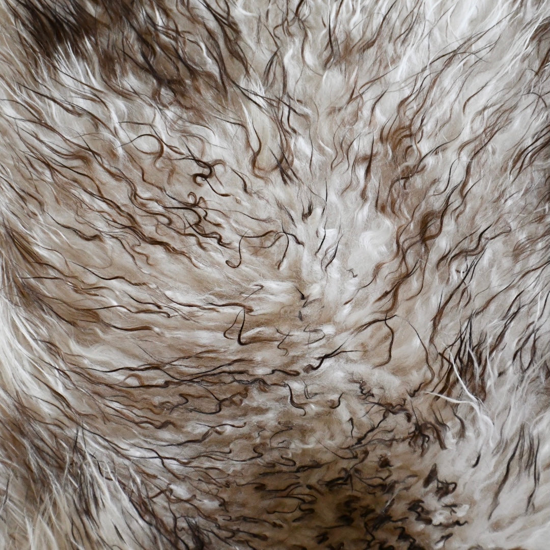 Icelandic Sheepskin - Mouflon Gray - Curly - 1