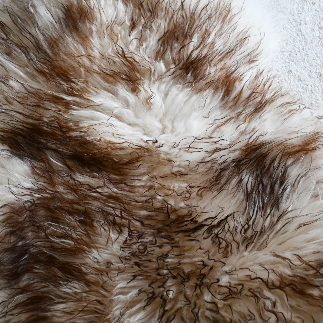 Icelandic Sheepskin - Mouflon Gray - Curly - 2
