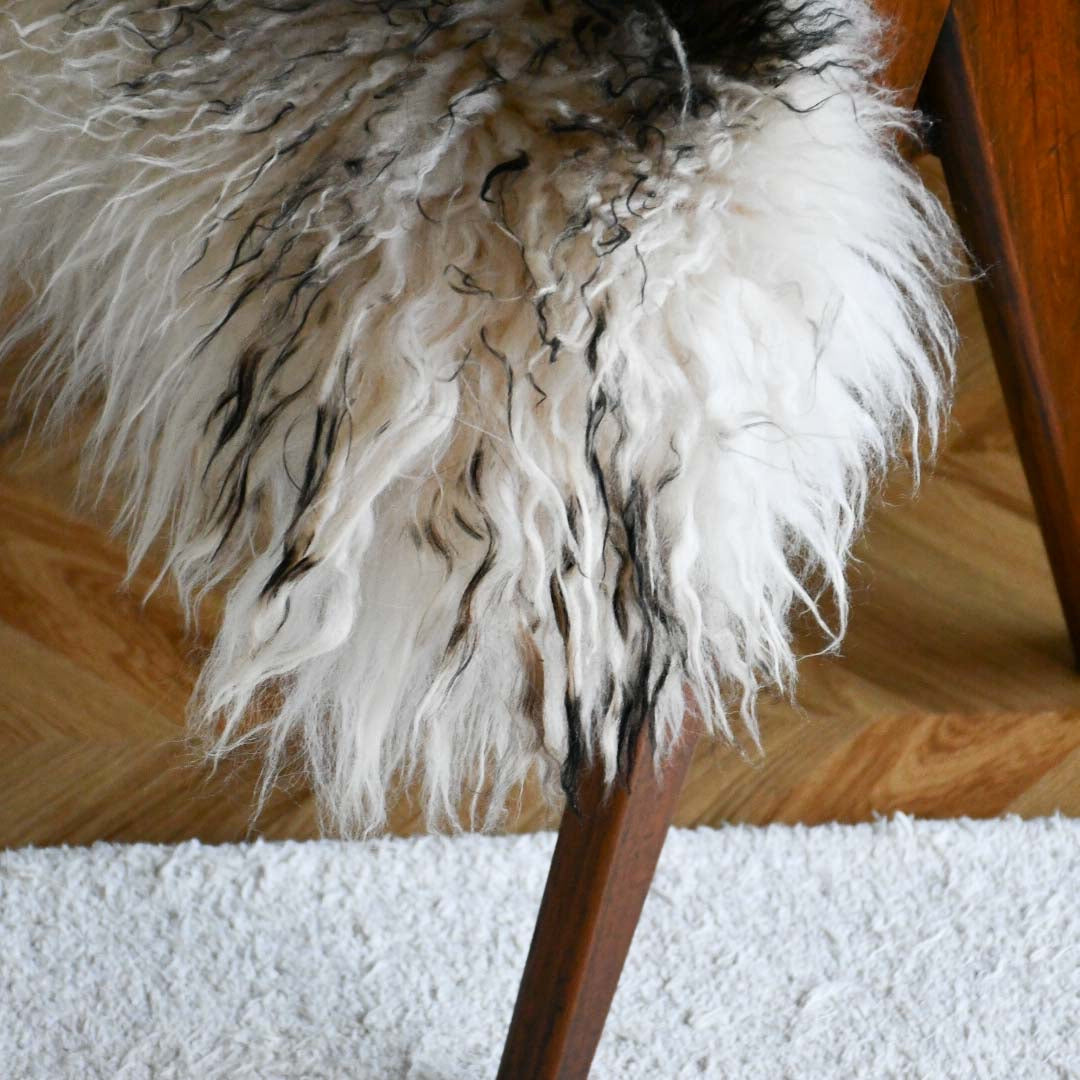 Icelandic Sheepskin - Mouflon Black - Curly - 1
