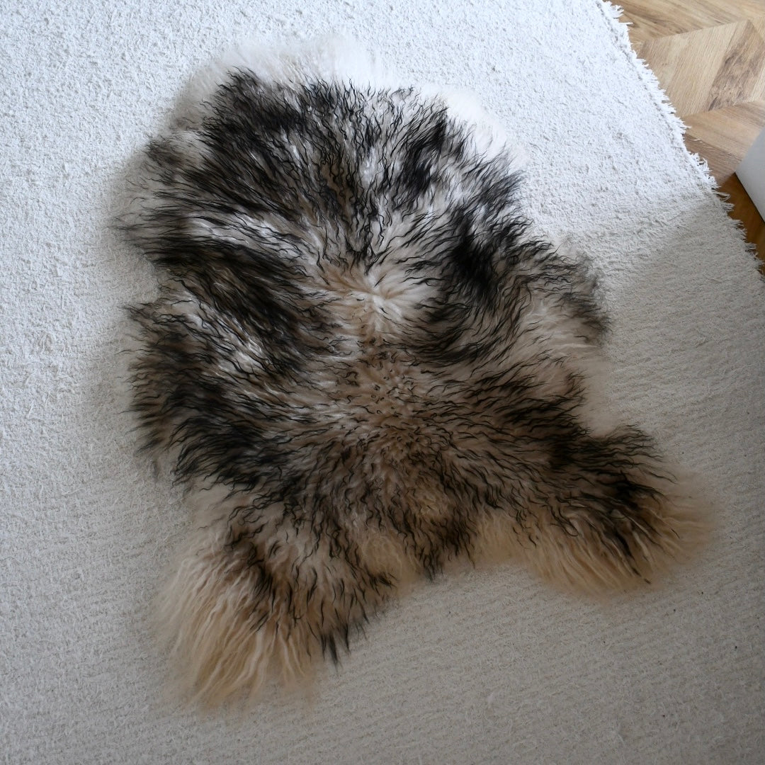 Icelandic Sheepskin - Mouflon Black - Curly - 2