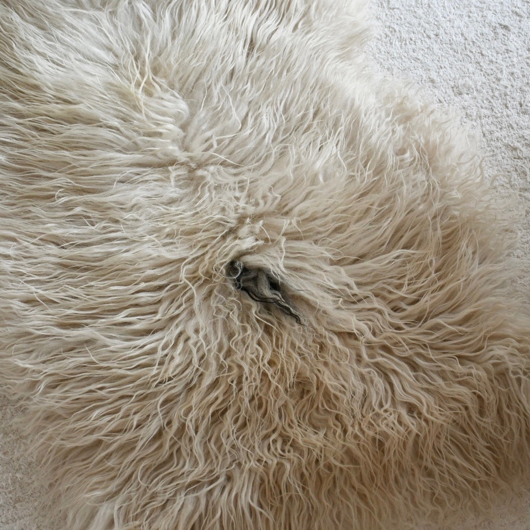 Icelandic Sheepskin - Mixed - Curly - 3