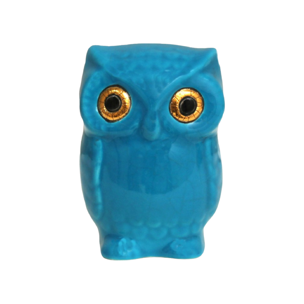 Owl - Turquoise Blue