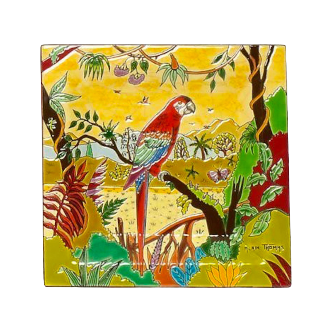 Oiseaux d'Amérique - Tray - L
